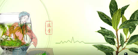 绿茶包括哪些茶