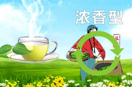 铁观音的发源地