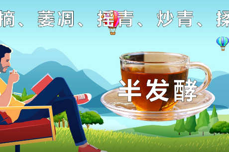 青茶有哪些品种？