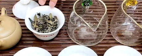 茶叶的种类