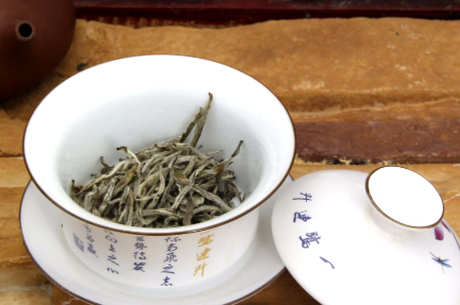 白茶的泡法