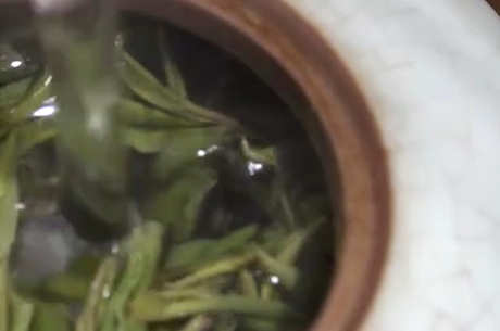 龙井是绿茶吗？
