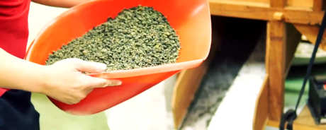 台湾乌龙茶的特点