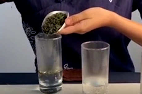 六安瓜片冲泡法