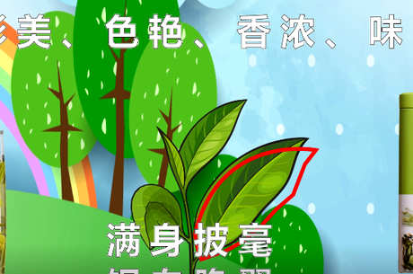 碧螺春产地