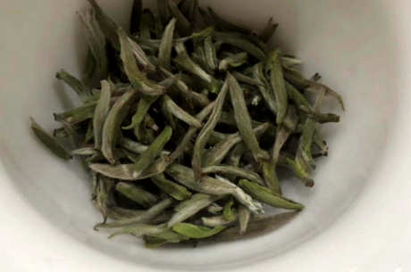 绿茶是白茶吗？