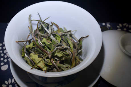 绿茶是白茶吗？
