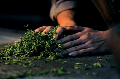 红茶的制作方法
