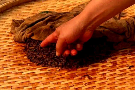 红茶的制作方法