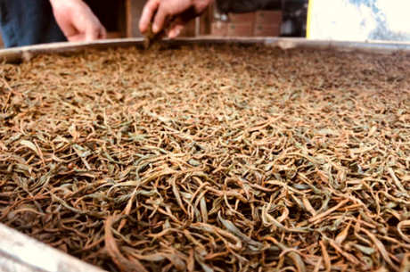 红茶的制作方法