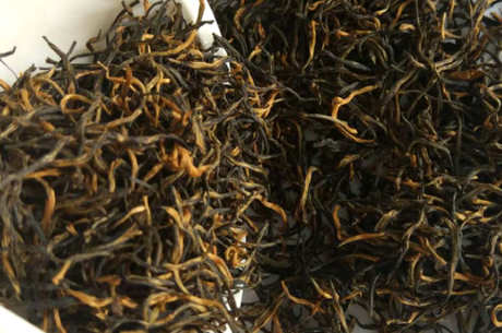 金骏眉是什么茶？