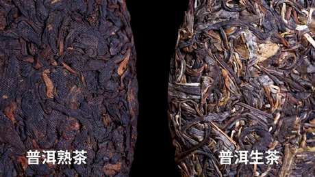 生普洱和熟普洱有什么区别？