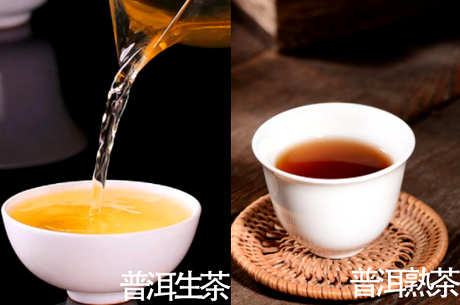 生普洱和熟普洱有什么区别？