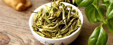 安吉白茶产地