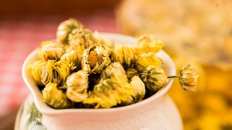 菊花茶有哪些种类？