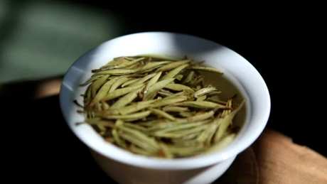 什么季节适合喝白茶？