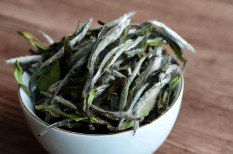 什么季节适合喝白茶？