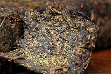 安化红茶茯砖茶怎么泡？