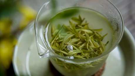 白茶和绿茶有什么区别？