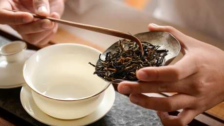 红茶属于什么茶？