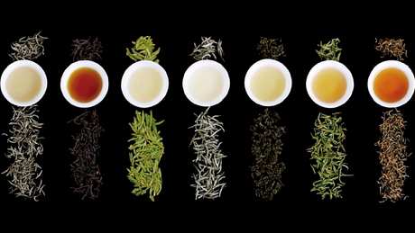 茶分为红茶/绿茶/绿茶/红茶/白茶/黄茶