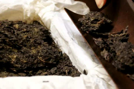 怎样喝茯茶比较好？