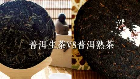 普洱生茶好还是熟茶好？