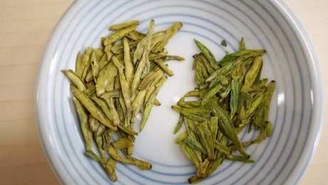 明前龙井怎么泡？