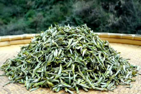 绿茶有哪些品种？