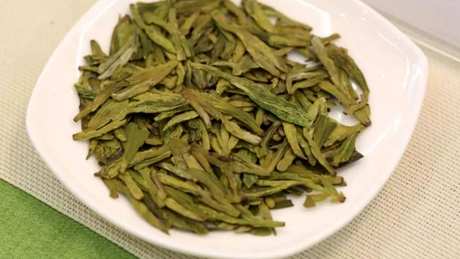 六大茶的基础知识