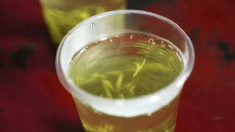 熬夜喝什么茶？