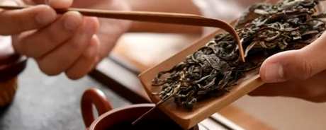 如何冲泡普洱茶？