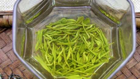 绿茶是什么茶？