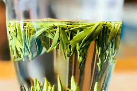 绿茶是什么茶？