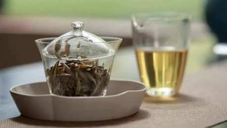 怎样冲泡白茶？