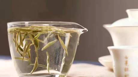 白茶是红茶还是绿茶？