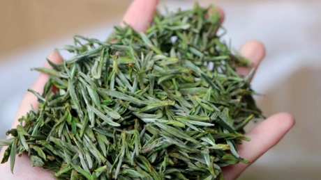 黄山毛峰是否属于绿茶？