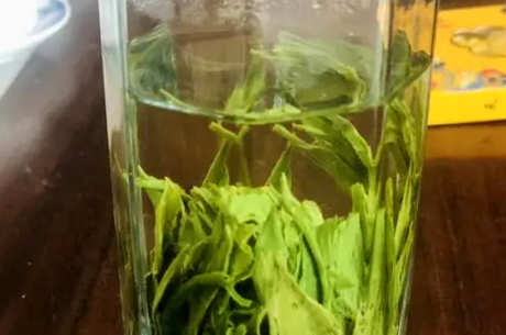 黄山毛峰是否属于绿茶？