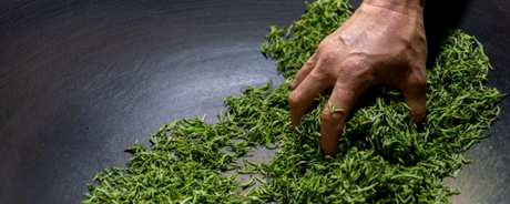 哪种绿茶最香最好？