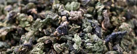 谁不适合喝桑叶茶？