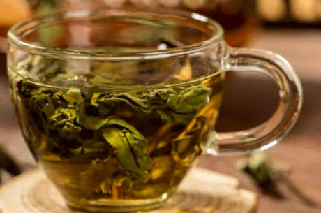 谁不适合喝桑叶茶？