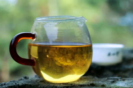 什么茶适合春天喝？