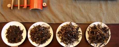 怎样泡普洱茶？
