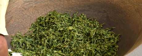 什么样的茶系属于普洱？