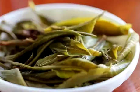什么样的茶系属于普洱？