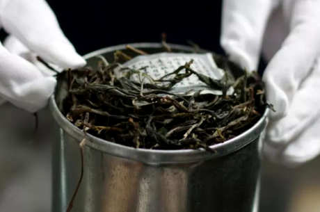 什么样的茶系属于普洱？