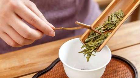西湖龙井属于什么茶？