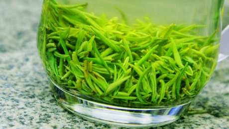 毛尖茶用多少度水温？