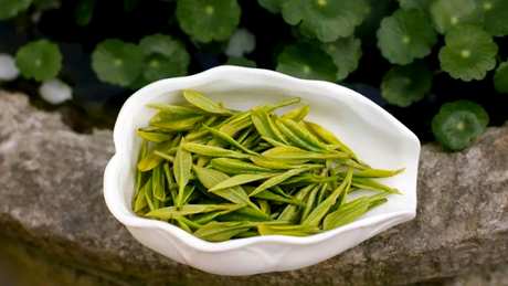 什么是碧螺春茶？