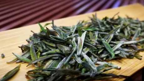 信阳毛尖的特点